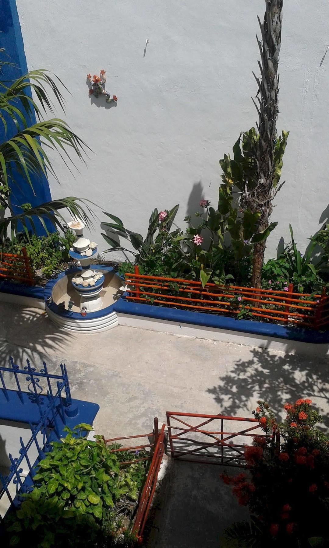 Alicia'S Bed & Breakfast Cozumel Exterior foto